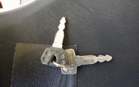 YAMAHA FZR250 Gen.2 R 3LN