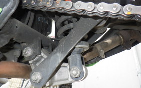 KAWASAKI NINJA 250 ABS EX250L