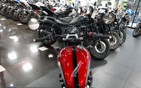 TRIUMPH  TRIUMPH  SPEED  TWIN 900 2023 DAD74G