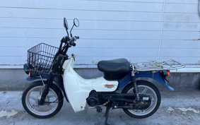 SUZUKI  NEW 聞 BIRDIE 50 BA43A