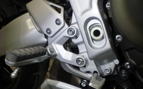 YAMAHA XSR900 GP 2024 RN96J