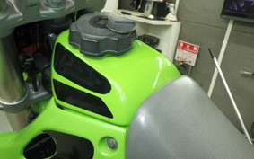 KAWASAKI KLX250 2022 LX250E