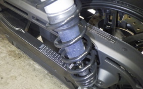 HARLEY RH975 2022