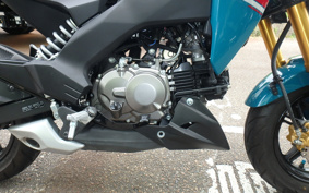 KAWASAKI Z125 PRO BR125H