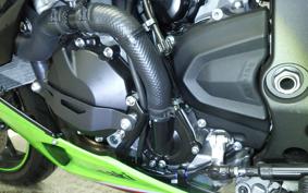 KAWASAKI NINJA ZX-6R A 2024 ZX636J