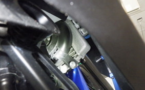 SUZUKI GSX250 R 2024