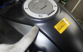 DUCATI MONSTER 937 + 2023