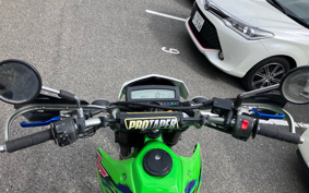 KAWASAKI KLX250 LX250S