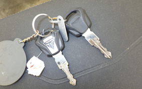 TRIUMPH TIGER 900 RALLY PRO 2022