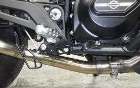 HARLEY X500 2024