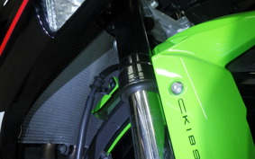KAWASAKI NINJA ZX-6R A 2021 ZX636G