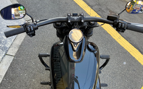 HARLEY HARLEY FXFBS 2019 YLK