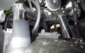 KAWASAKI NINJA 400 2024 EX400L