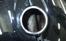 KAWASAKI Z1000 2026 KZT00A