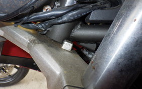 OTHER +ﾒｶﾞﾘ250R