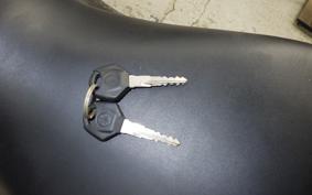 YAMAHA YZF-R25 2023 RG43J