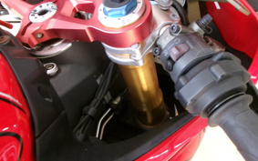 DUCATI 1299PANIGA-RES 2015 ZDMH905JAFB