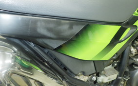 KAWASAKI SUPER SHERPA 2026 KL250G