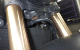 HONDA CB650R 2024 RH17