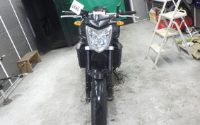 YAMAHA FZ1 FAZER 2013 RN21J