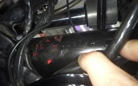 KAWASAKI Z1000 2023 KZT00A