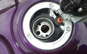 YAMAHA YZF-R25 A RG74J