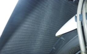 TRIUMPH DAYTONA 675 2009