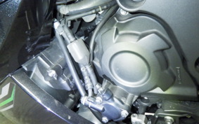 KAWASAKI ZX 1400 NINJA R A 2013