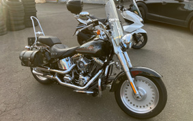 HARLEY HARLEY FLSTF1340-1450 2007 BX5