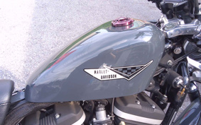 HARLEY XL883R 2009 CS2