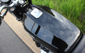 KAWASAKI Z500 FX 2026 KZ500B