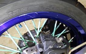 KAWASAKI KLX250D TRACKER X LX250V