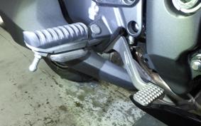 KAWASAKI NINJA 1000 SX 2024 ZXT02K