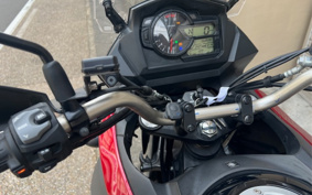 SUZUKI DL650 ( V-Strom 650 ) 2021 C733A