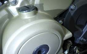 HUSQVARNA SVARTPILEN 401 2025