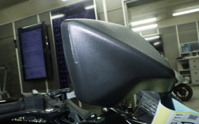 KAWASAKI NINJA 1000 SX 2024 ZXT02K