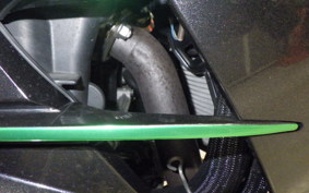 KAWASAKI ZX 1400 NINJA R A 2019