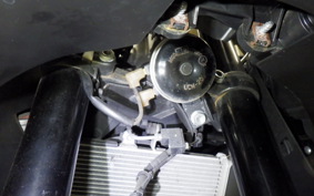 YAMAHA YZF-R25 A 1999 RG43J