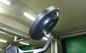 OTHER +UNREGISTERED MODEL by BDS125