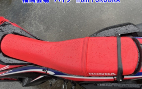 OTHER CRF250 RALLY A