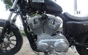 HARLEY XL883 2004 CAM