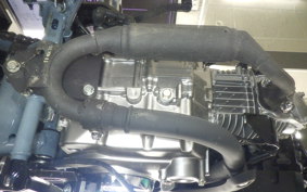 HONDA MONKEY 125