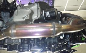 KAWASAKI Z250 Gen.2 2024 EX250Y