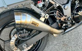 KAWASAKI NINJA 250 EX250L