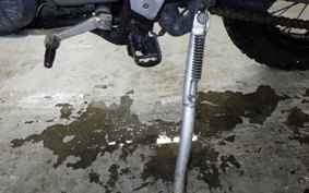 KAWASAKI SUPER SHERPA KL250G