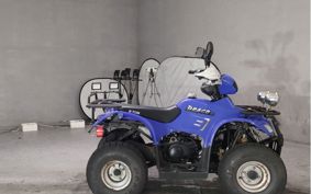OTHER  BUGGY 50CC ..