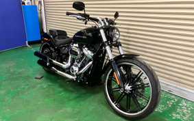 HARLEY FXBRS 2020 YHK