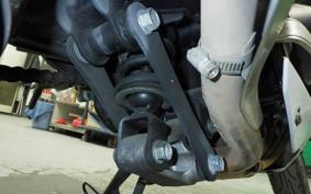 KAWASAKI Z250 2024 ER250C