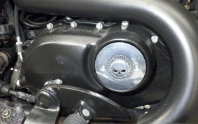 HARLEY XG750 STREET 2019