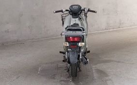 SUZUKI GLASS TRACKER BIG BOY NJ47A
